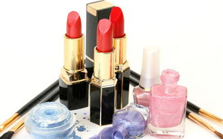 世紀(jì)佳人化妝品連鎖代理加盟費(fèi)用及進(jìn)出口代理服務(wù)解析